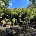 Oahu Waterfall Hike-Garden-Beach Road Trip, Waikiki to Lanikai - What to Expect and What’s Included