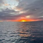 Oahu: Whale Sail Charter - FAQs