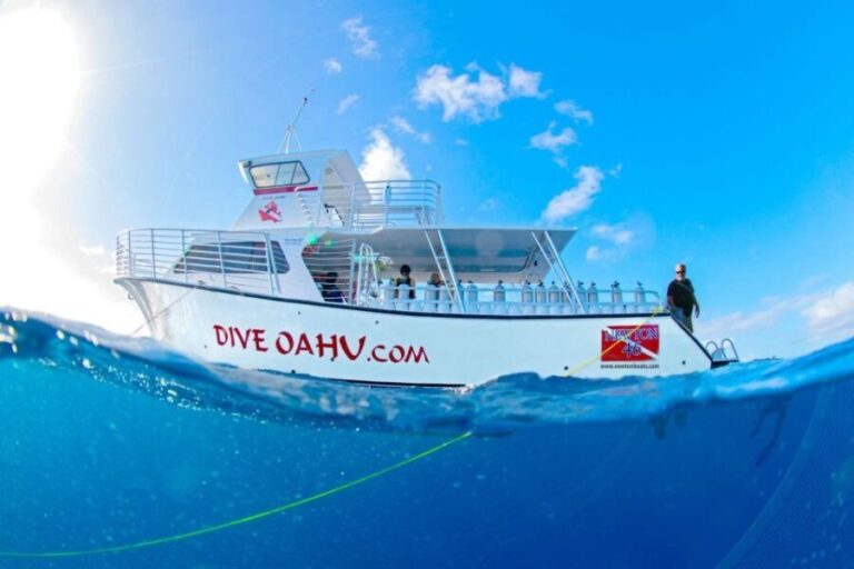 Oahu: Wreck & Reef Scuba Dive for Certified Divers - The Practicalities