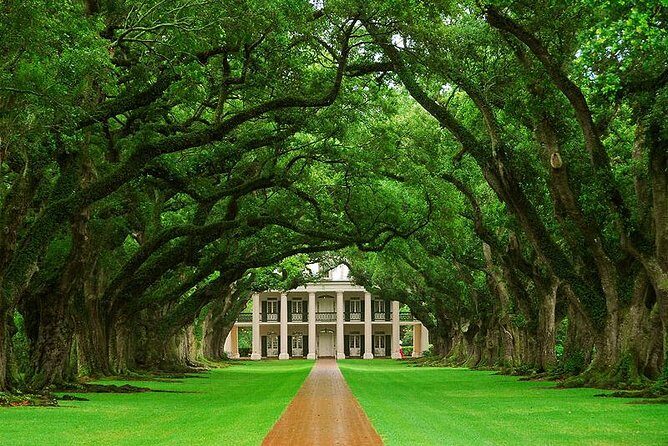 Oak Alley Plantation and Swamp Boat Tour from New Orleans - Oak Alley Plantation