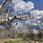 Oak Creek Canyon, with Native American history and Chapel too! - Authentic Visitor Insights (Based on Reviews)