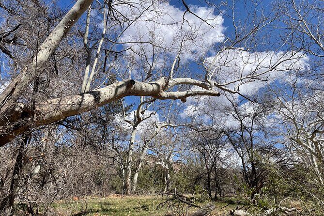 Oak Creek Canyon, with Native American history and Chapel too! - Authentic Visitor Insights (Based on Reviews)