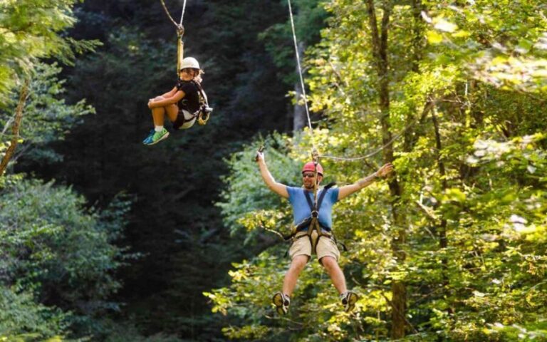 Oak Hill: Zipline Tour in New River Gorge National Park - The Highlights That Make This Tour Stand Out