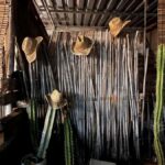 Oaxaca: Aguamiel, Pulque and Mezcal Tasting - A Close Look at the Oaxaca: Aguamiel, Pulque and Mezcal Tasting