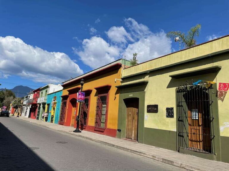 Oaxaca City Walking Tour - Markets, Textile museum & Lunch - Who Would Love This Tour?