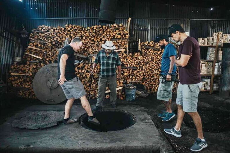 Oaxaca: Crafts & Cuisine Culture Tour - What You Need to Know Before Booking