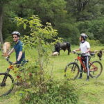 Oaxaca: Ejutla Canyon 1 Day Bike Tour - The Experience: What Makes It Special