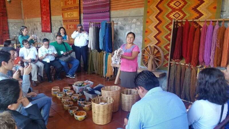 Oaxaca: El Tule, Mitla, and Hierve el Agua Tour with Mezcal - Real Experiences from Travelers