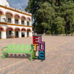 Oaxaca: El Tule tree, Teotitlan Village & Mezcal Tour - The Practical Details