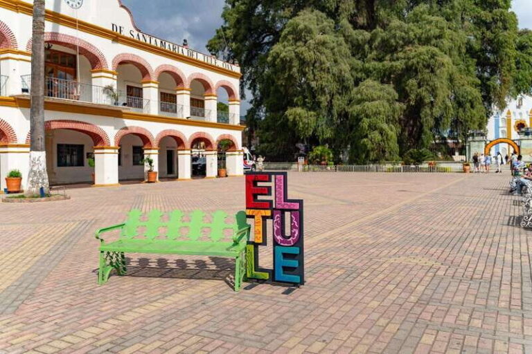 Oaxaca: El Tule tree, Teotitlan Village & Mezcal Tour - The Practical Details