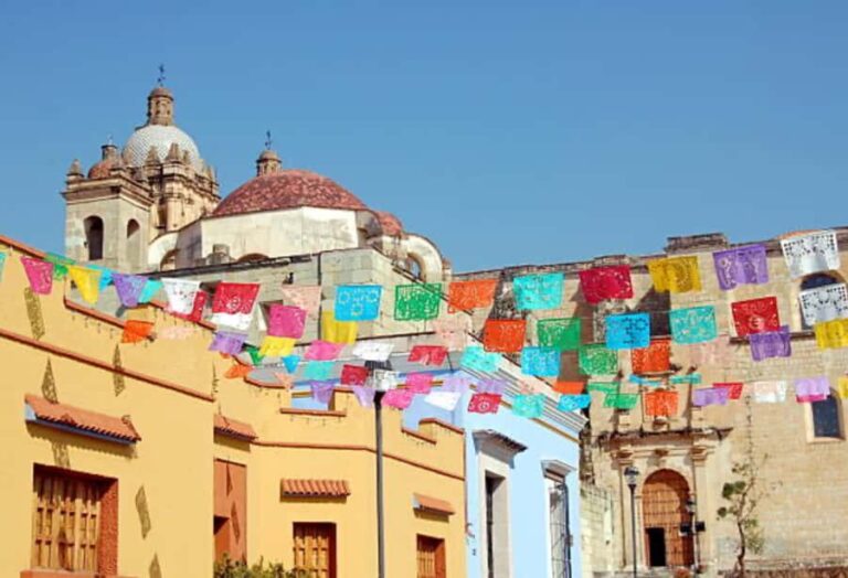 Oaxaca: Family-Friendly Private Walking Tour - Analyzing the Price and Value