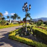 Oaxaca: Guided Bike Tour to the Largest Tree in the World - The Real Traveler Perspective