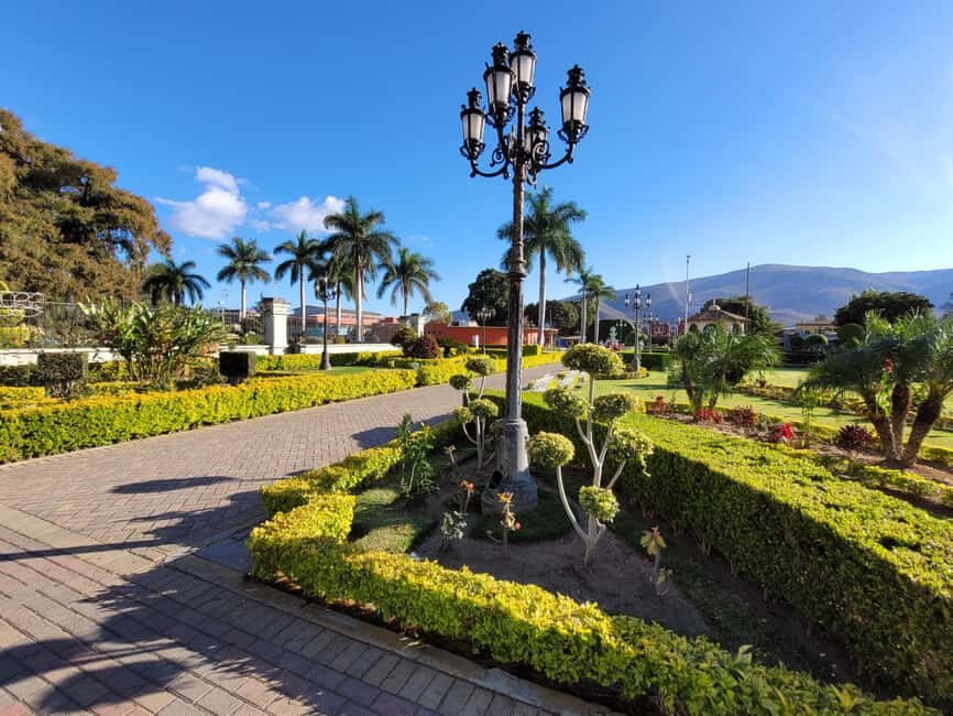 Oaxaca: Guided Bike Tour to the Largest Tree in the World - The Real Traveler Perspective