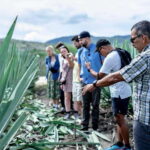Oaxaca: Mezcal Distillery Tour with Tastings - Who Is This Tour Best For?