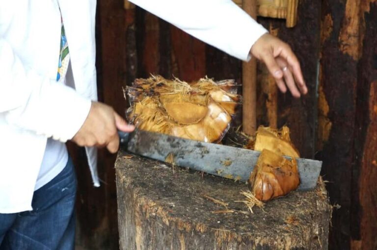 Oaxaca: Mezcal Tasting & Barrel Ride - What to Expect from the Oaxaca Mezcal Tour