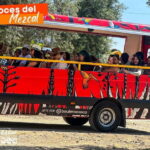 Oaxaca- Mezcal Voices - Deep Dive: What Makes the Experience Stand Out?