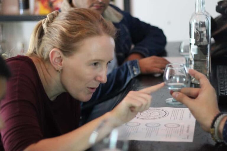 Oaxaca: Mezcaleria in the City Walking Tour - Who should consider this tour?