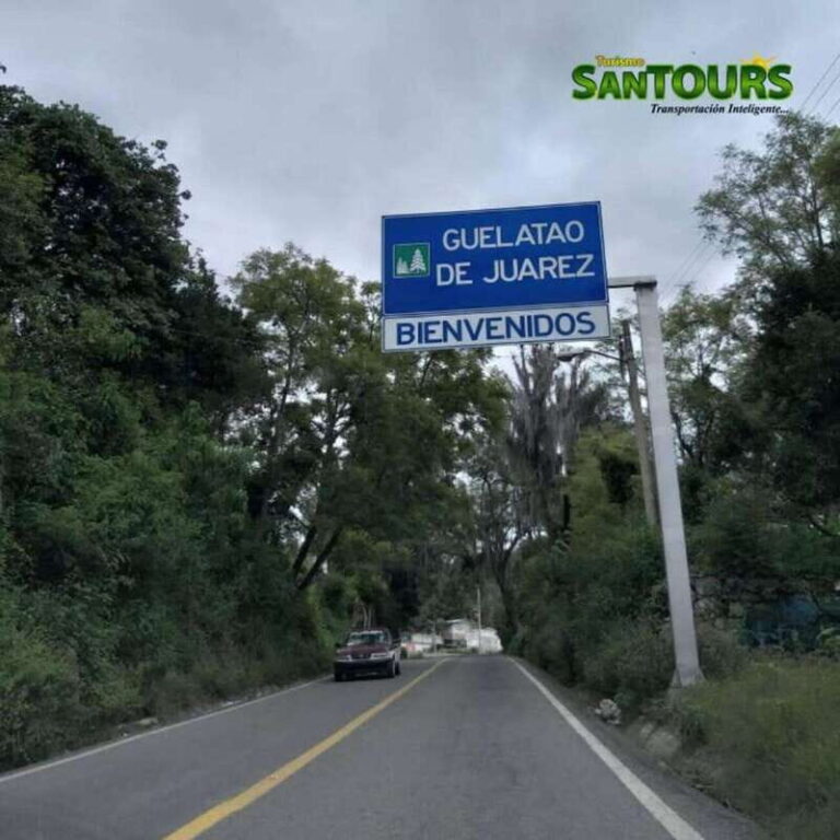 Oaxaca: Monte Albán Archaeological Tour - What Travelers Say