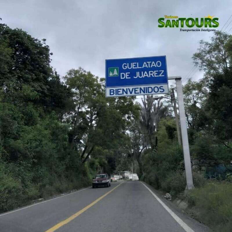 Oaxaca: Monte Albán Archaeological Tour - What Travelers Say