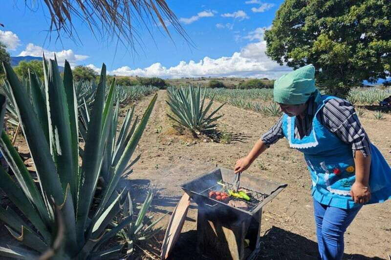 Oaxaca: Private Lunch in Maguey Fields with Mezcal Tasting - Who Should Consider This Tour?