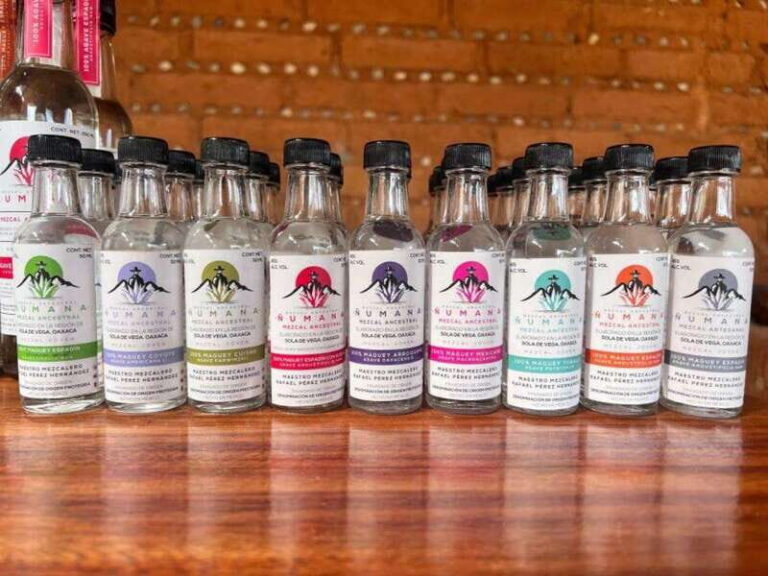 Oaxaca: Private Tour Raíces Oaxaqueñas qnd food - Tasting Oaxacan Cuisine: A Feast of Flavors