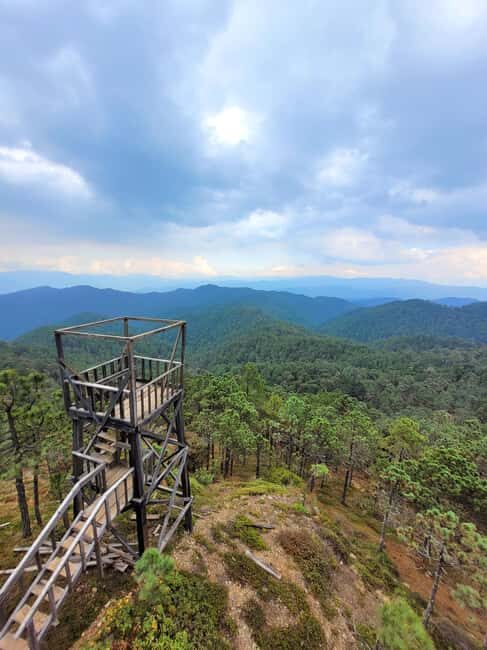 Oaxaca: Sierra Norte Ixtepeji Guided Hike & Lunch, Half-Day - What’s Included & What to Consider