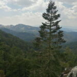 Oaxaca: Sierra Norte Tour with Zipline and Hanging Bridge - Practical Tips for Your Trip