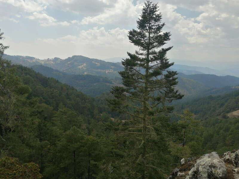 Oaxaca: Sierra Norte Tour with Zipline and Hanging Bridge - Practical Tips for Your Trip