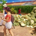 Oaxaca: Traditional Market Private Tour - Practical Details and What You Should Know