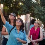 Oaxacan Urban Mythology and Colonial Art - The Practicalities