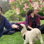 Oberon: Kenzell Farm Tour  A Hands-On Animal Adventure! - How Does it Compare? Worth the Cost?