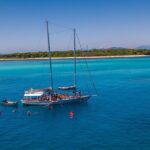 Ocean Free 25 guest Great Barrier Reef & visit Green Island Tour - Who Is This Tour Best For?