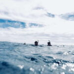 Ocean Safari in San Jose del Cabo - The Itinerary: What to Expect