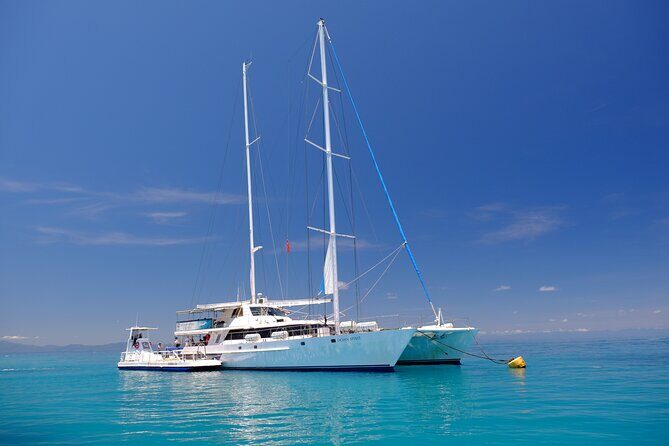 Ocean Spirit Sail to Michaelmas Cay Snorkel or Dive, from Cairns - The Highlights: Why This Tour Stands Out