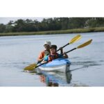 Ocean Springs: Guided Kayak Tour - A Closer Look at the Guided Kayak Tour in Ocean Springs