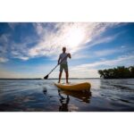 Ocean Springs: Stand-Up Paddleboarding Guided Tour - The Details That Matter