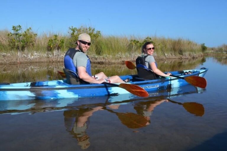 Ochopee: Half-Day Mangrove Tunnel Kayak Tour - The Value of the Tour