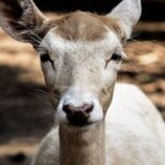 Of Monterrey Biopark Star - The Itinerary Breakdown: What You Can Expect