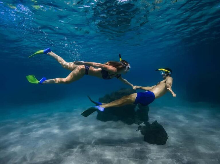 Off Road Coastal Tour 4x4 Vehicle With Snorkel Photo+Video - The Itinerary in Detail