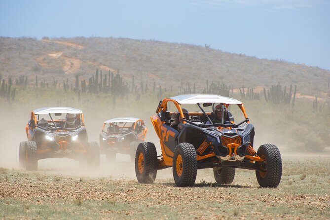 Off to Road Cabo San Lucas Adventure - Final Thoughts