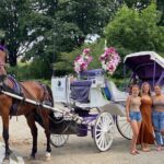 OFFICIAL NYC Central Park Horse Carriage Rides - What to Expect on This Central Park Horse Carriage Ride