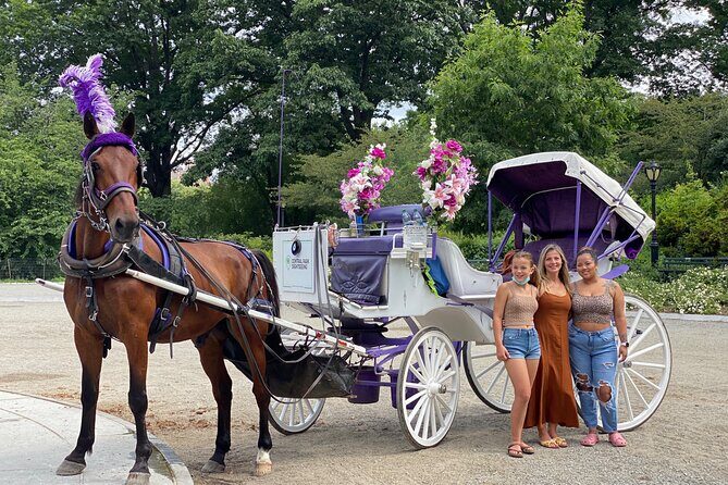 OFFICIAL NYC Central Park Horse Carriage Rides - What to Expect on This Central Park Horse Carriage Ride