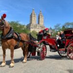 Official NYC Horse Carriage Rides in Central Park since 1979 - The Value for Your Money