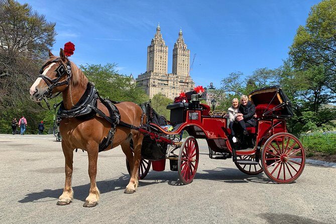 Official NYC Horse Carriage Rides in Central Park since 1979 - The Value for Your Money
