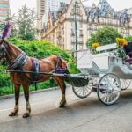 Official Private New York City Central Park Horse Carriage Ride Since 1965 - Who Will Love This Tour?