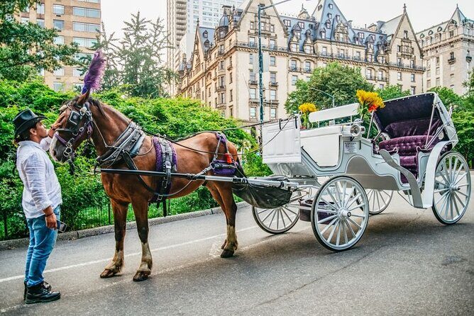 Official Private New York City Central Park Horse Carriage Ride Since 1965 - Who Will Love This Tour?