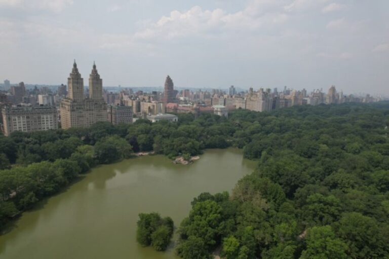 Official VIP Whole Central Park Horse Carriage Tour - What to Expect from the Itinerary