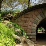 Official Who Built Central Park Walking Tour - Price and Value