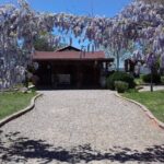 Ojos Negros Valley Wine and Cheese Route Tour in Baja California - What to Expect and Practical Tips