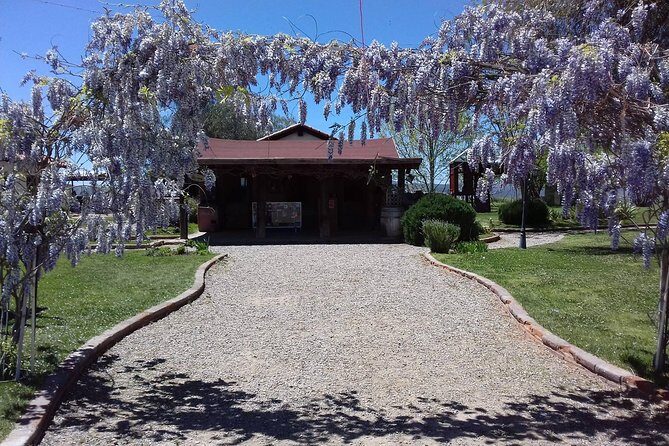 Ojos Negros Valley Wine and Cheese Route Tour in Baja California - What to Expect and Practical Tips